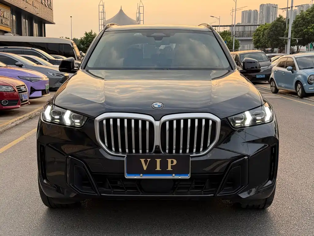 BMW X5 — миниатюра 3