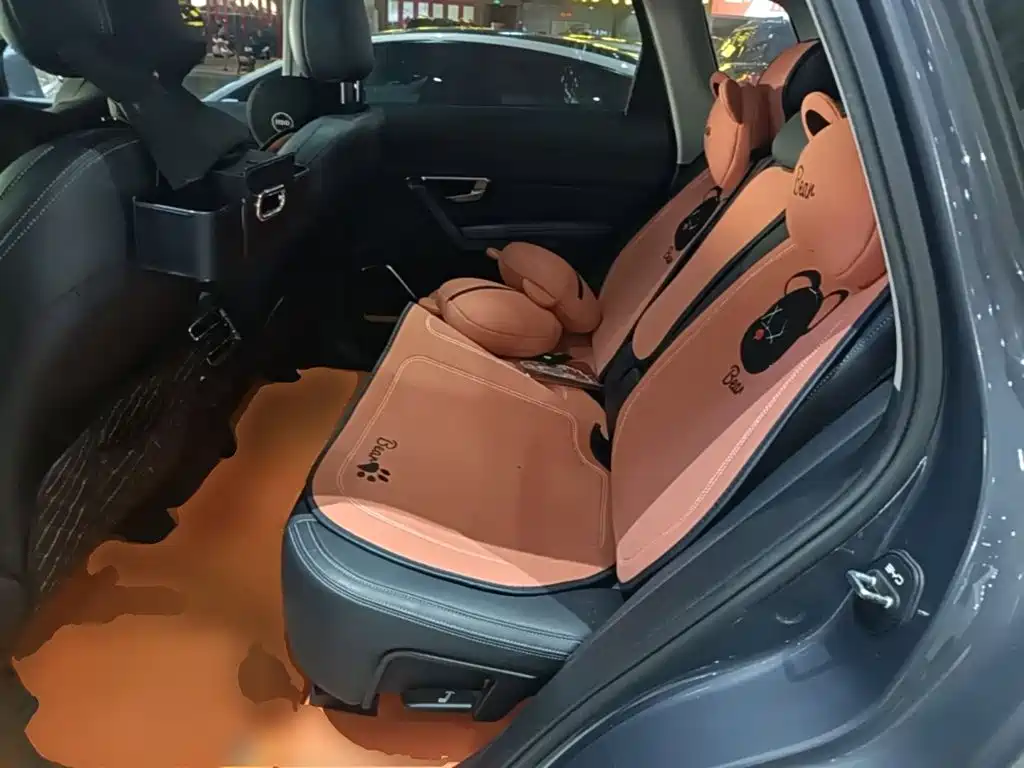 BYD Pro — миниатюра 17