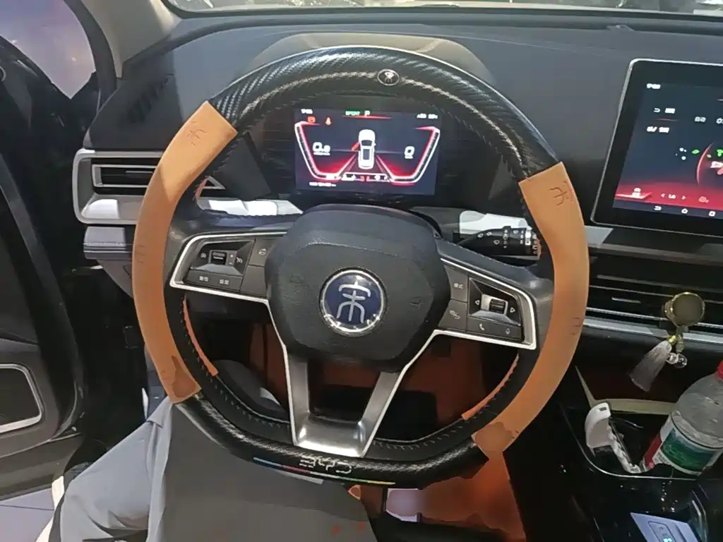 BYD Pro — миниатюра 11