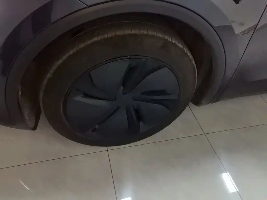 Tesla Model Y — миниатюра 23