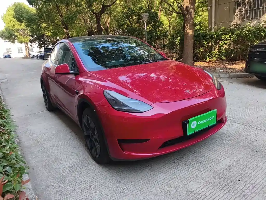 Tesla Model Y — миниатюра 4