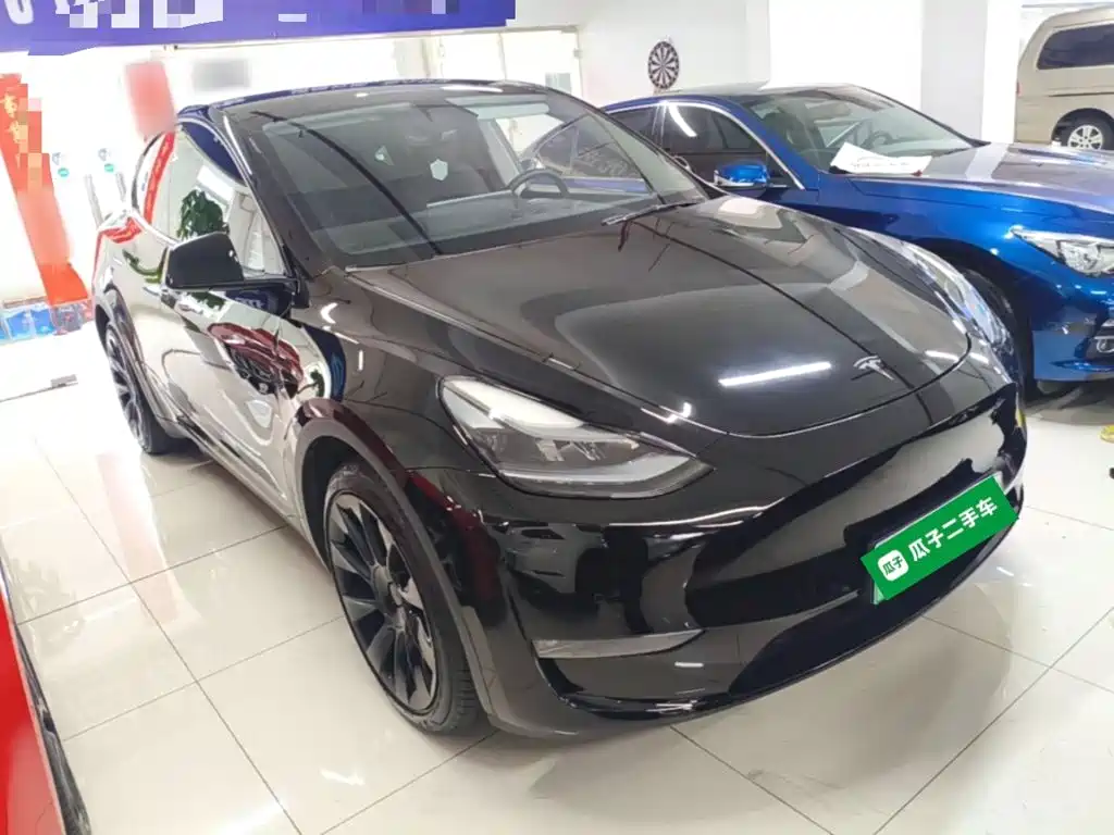 Tesla Model Y — миниатюра 4
