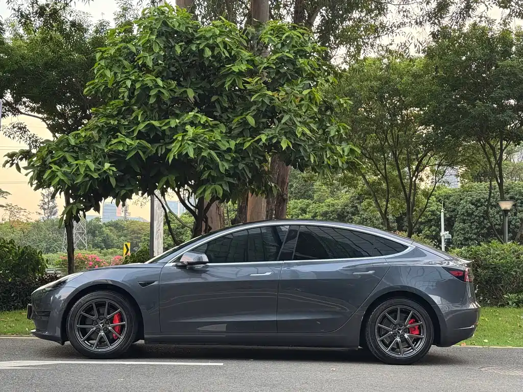 Tesla Model 3 — миниатюра 4