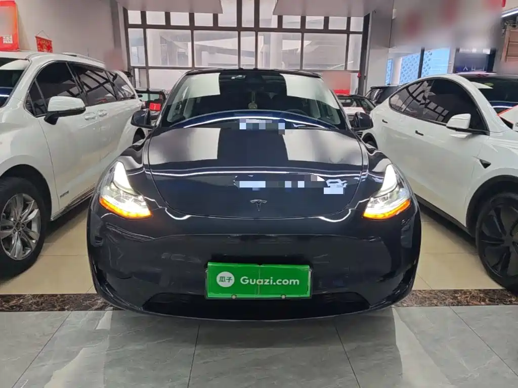 Tesla Model Y — миниатюра 3
