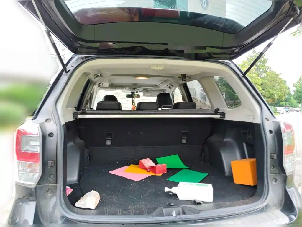 Subaru Forester — миниатюра 10
