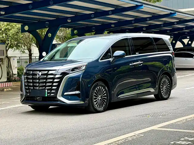 2024 Denza D9