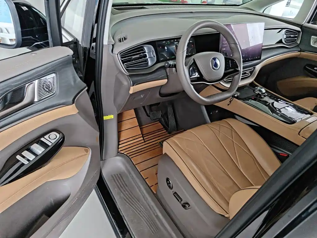 Denza Denza D9 — миниатюра 16