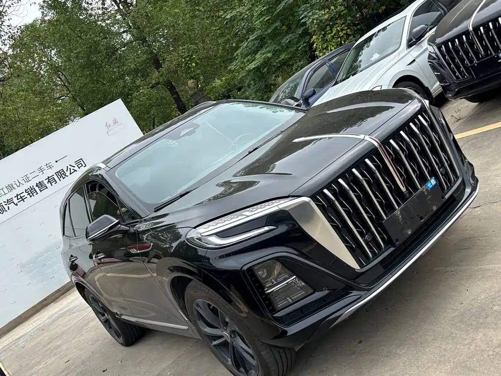 Hongqi Hongqi HS3 PHEV — миниатюра 2