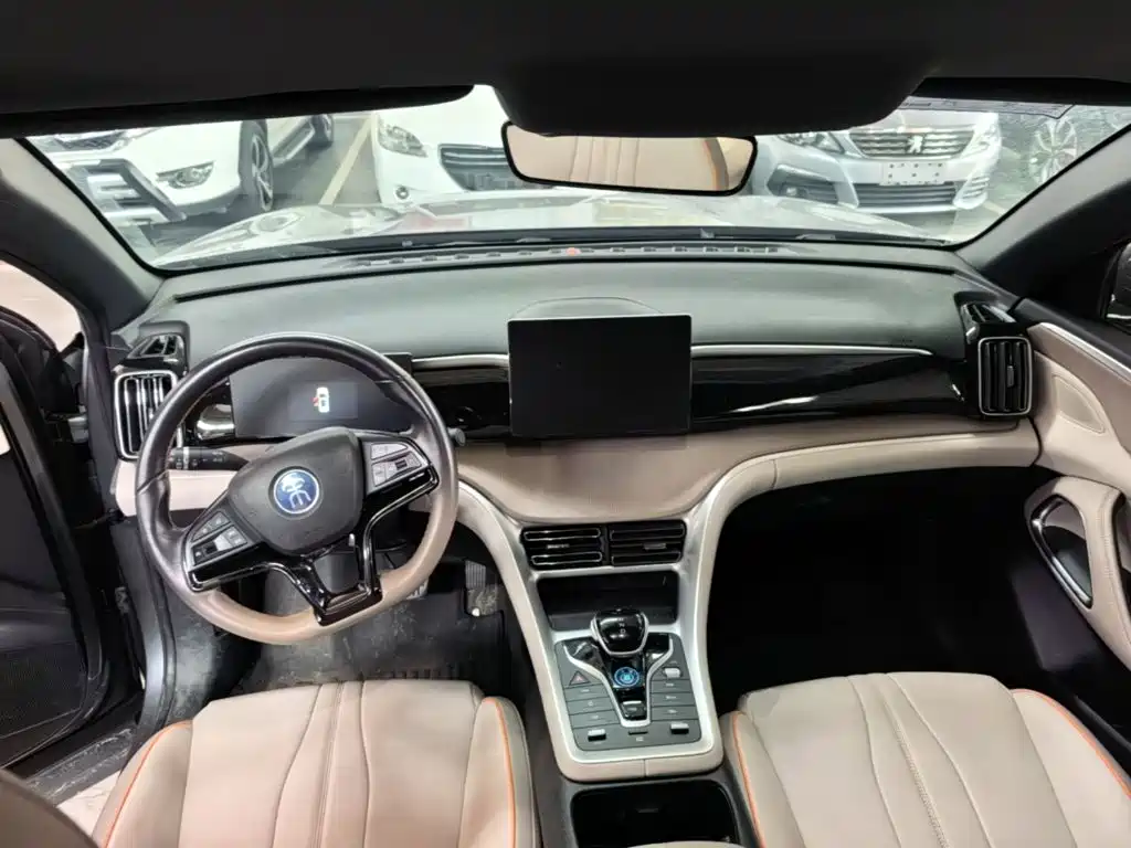 BYD Pro New Energy — миниатюра 10