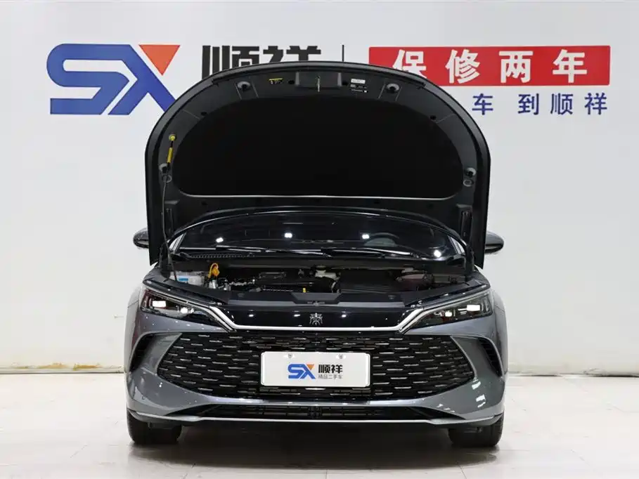 BYD QIN L