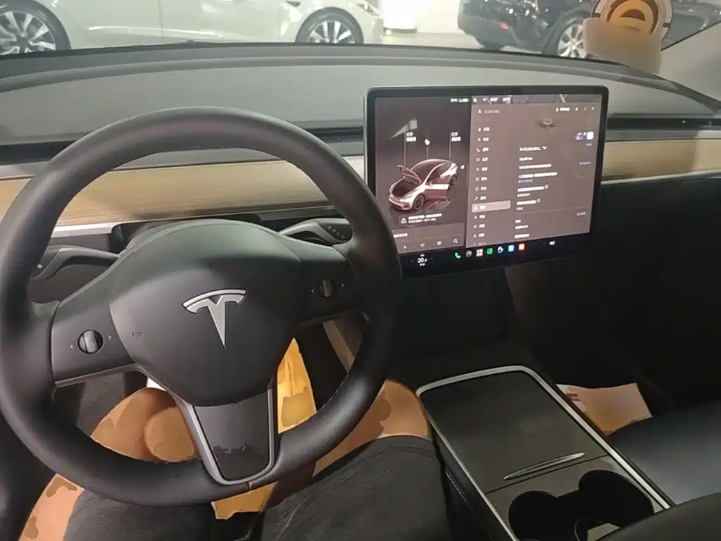 Tesla Model Y — миниатюра 10
