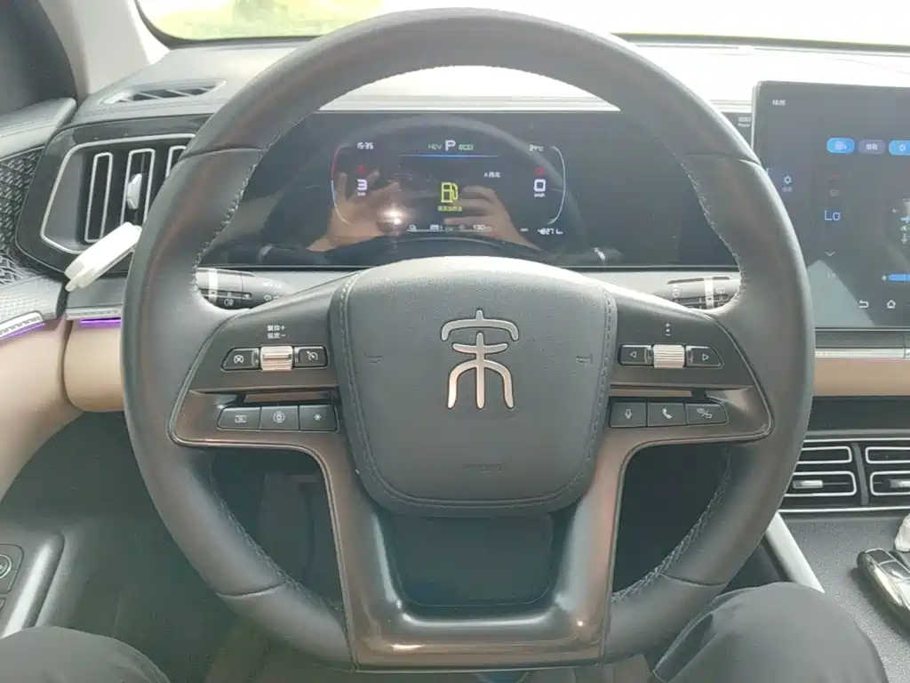 BYD Pro New Energy — миниатюра 11
