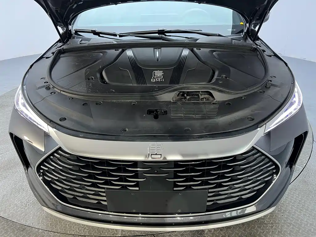 BYD Tang New Energy — миниатюра 19