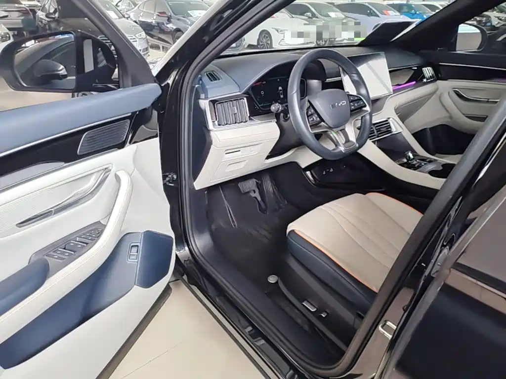 BYD PLUS New Energy — миниатюра 16