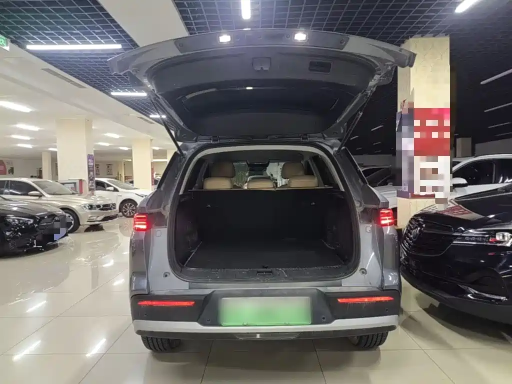 BYD Pro New Energy — миниатюра 19