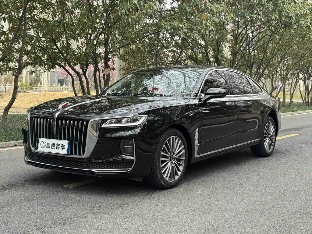 Hongqi Hongqi H9 2021