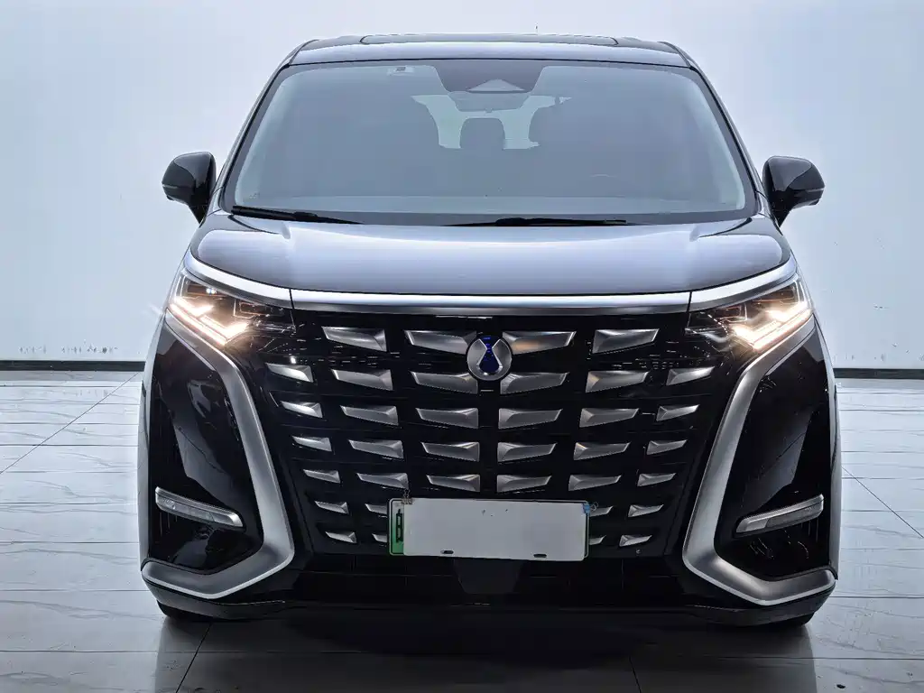 Denza Denza D9 — миниатюра 2