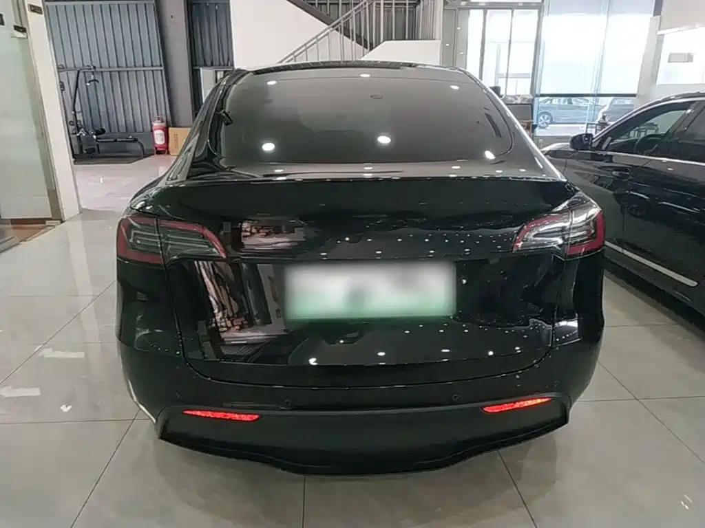 Tesla Model Y — миниатюра 6