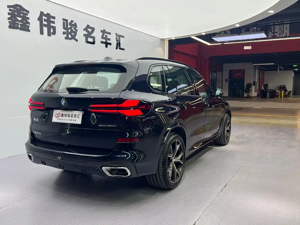 BMW X5 — миниатюра 19