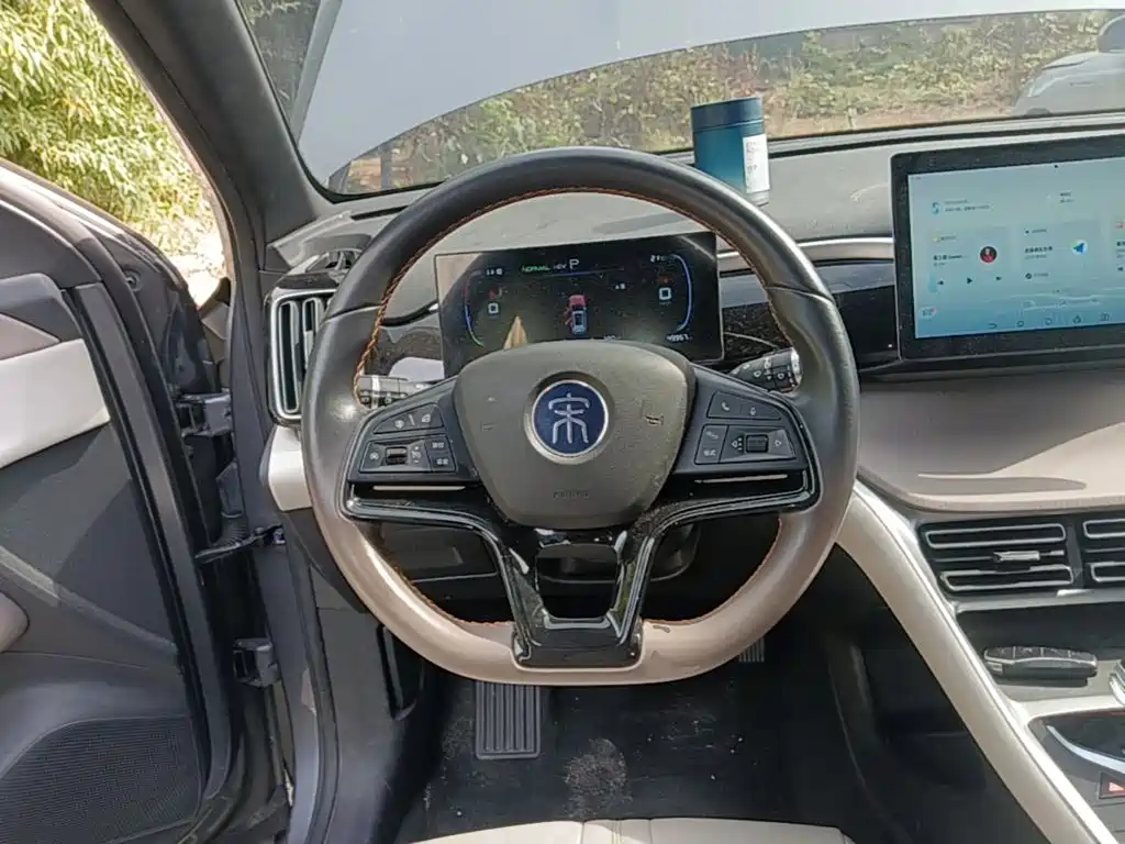 BYD Pro New Energy — миниатюра 11