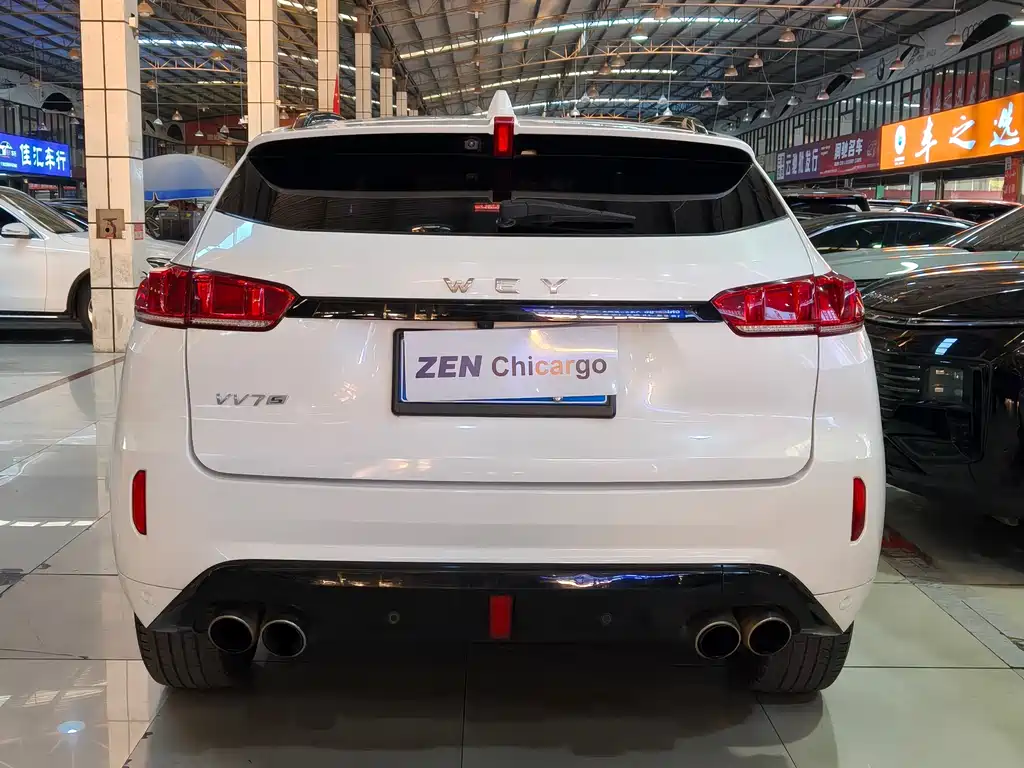 WEI PAI WEI BRAND VV7