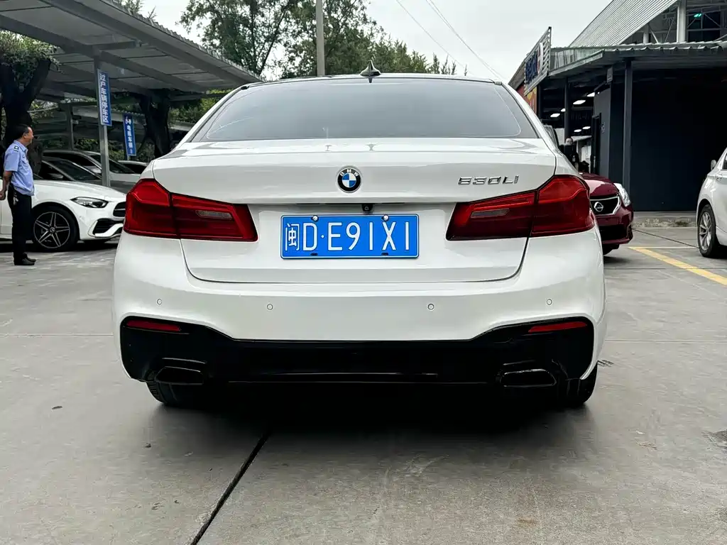 BMW 5 Series 5 2019 530Li Lead Luxury