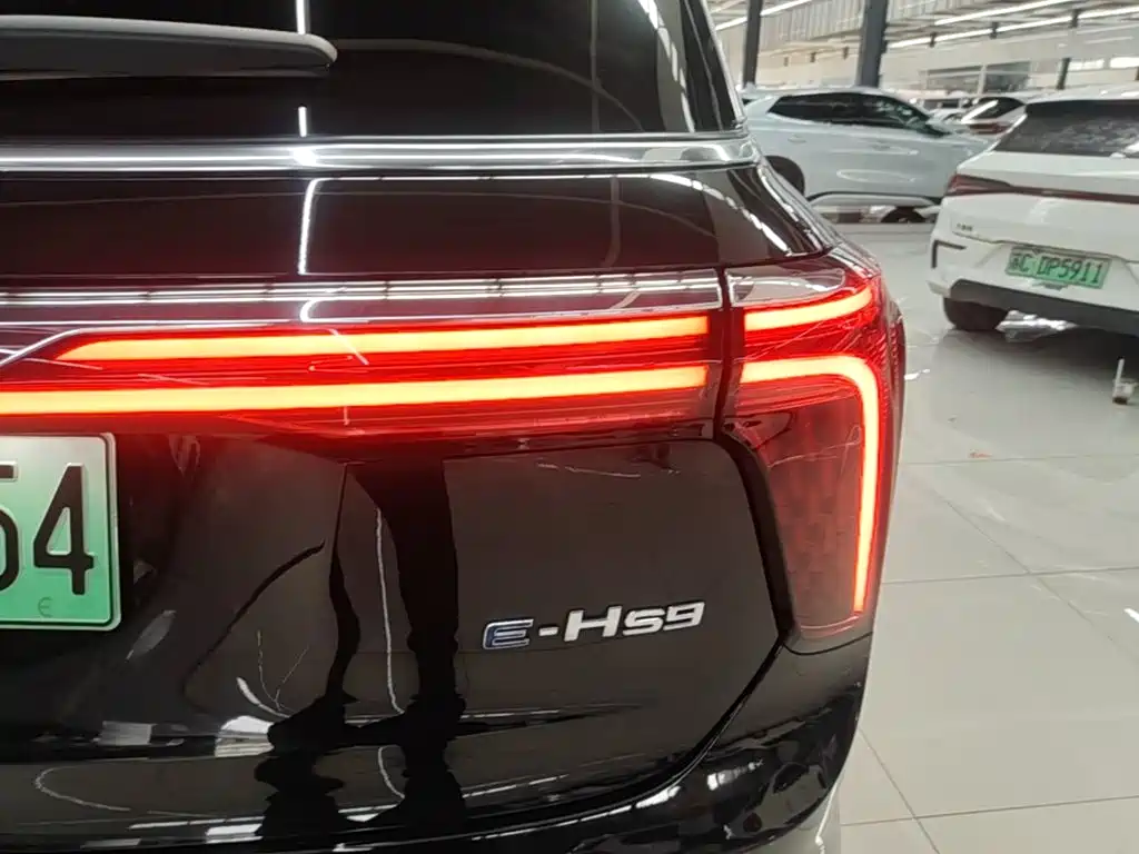 Hongqi Hongqi E-HS9 — миниатюра 8
