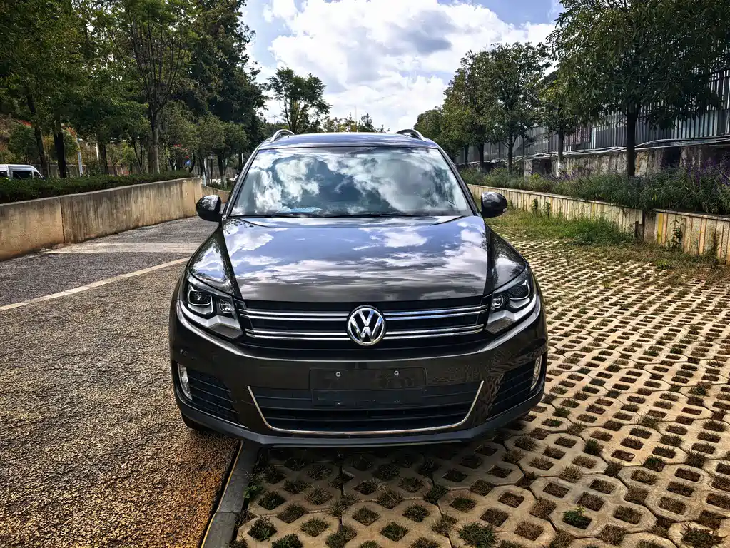 Volkswagen Tiguan — миниатюра 2
