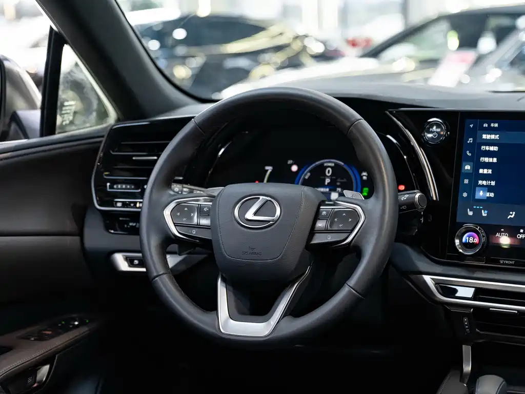 Lexus RX New Energy — миниатюра 14
