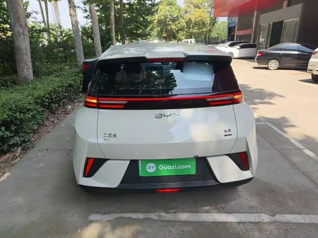 BYD Seagull 2025 Smart Drive 305km Freedom