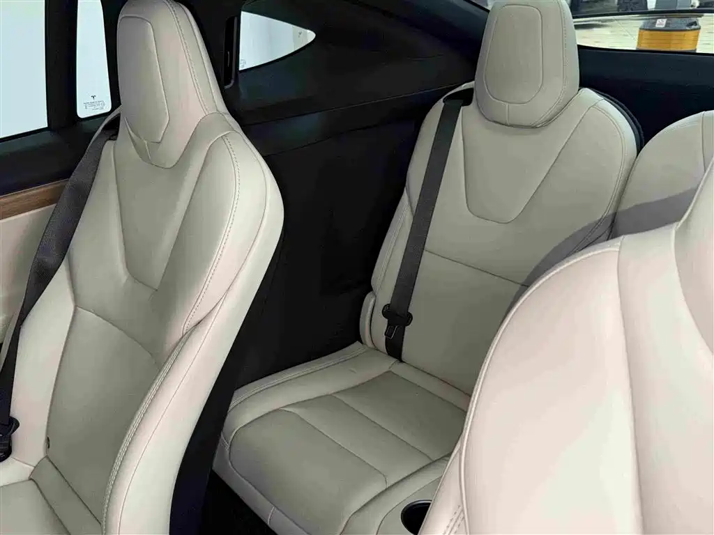Tesla Model X — миниатюра 7