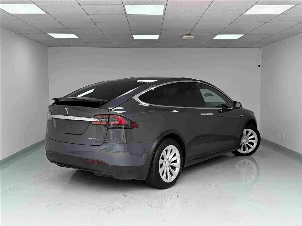 Tesla Model X — миниатюра 20