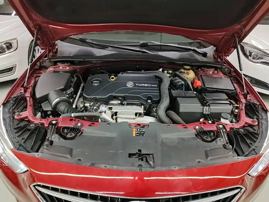 Buick Regal — миниатюра 20