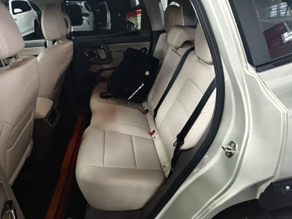 Haval Big Dog PLUS — миниатюра 17