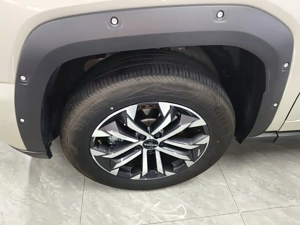 Haval Big Dog PLUS — миниатюра 23