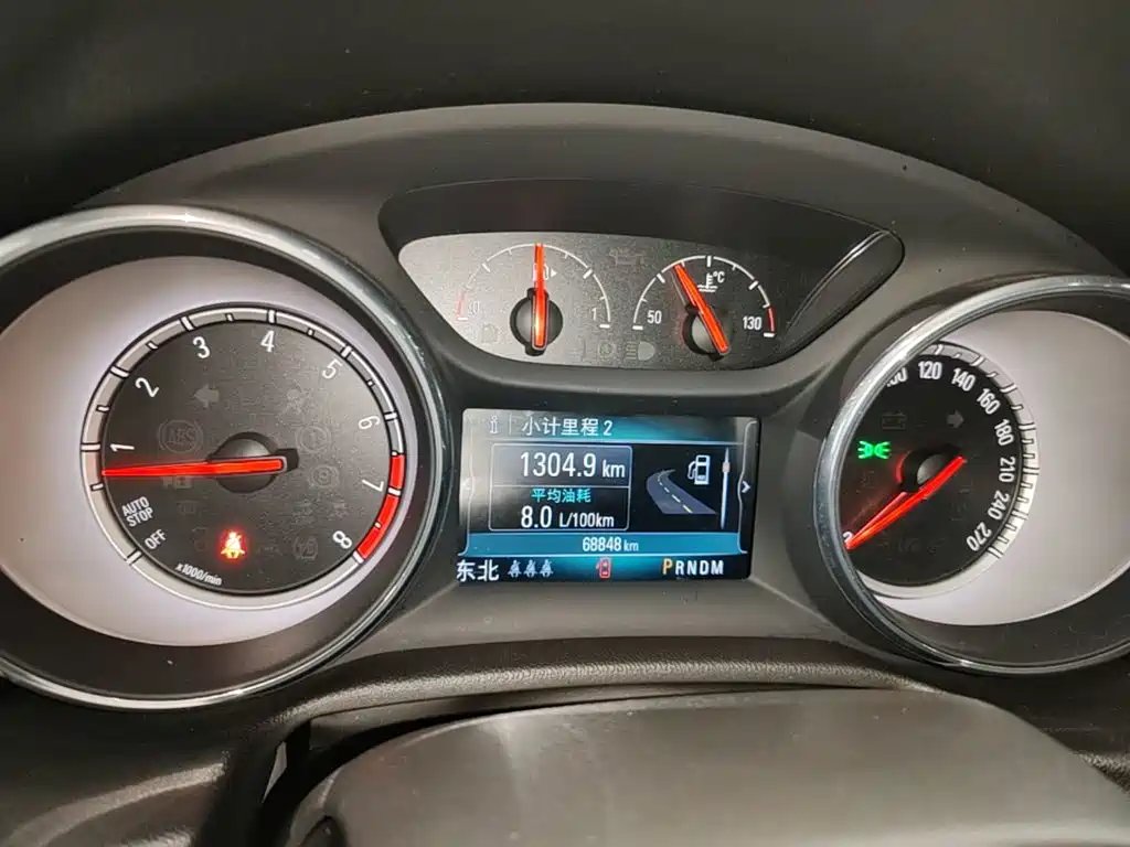 Buick Regal — миниатюра 12