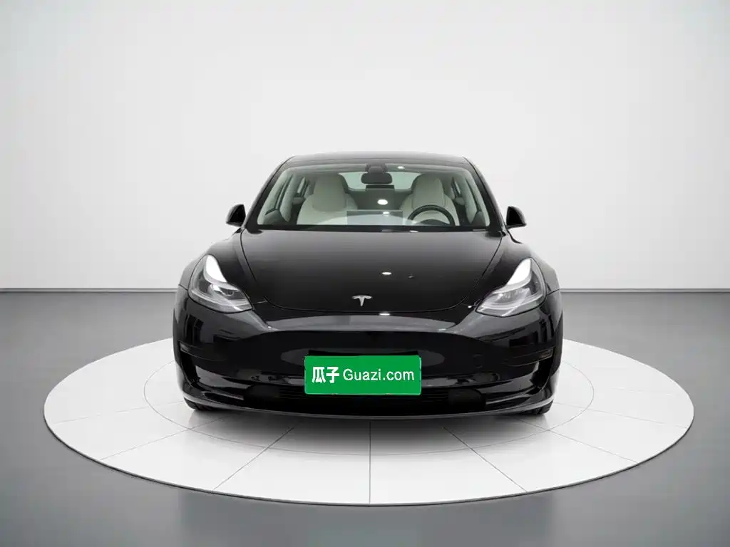 Tesla Model 3 — миниатюра 2