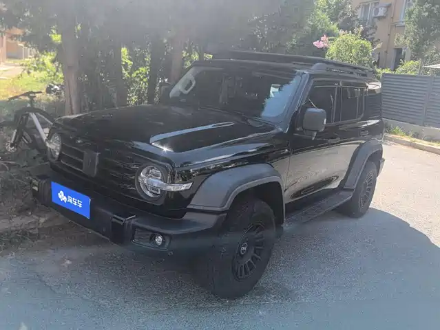 2021 TANK 300