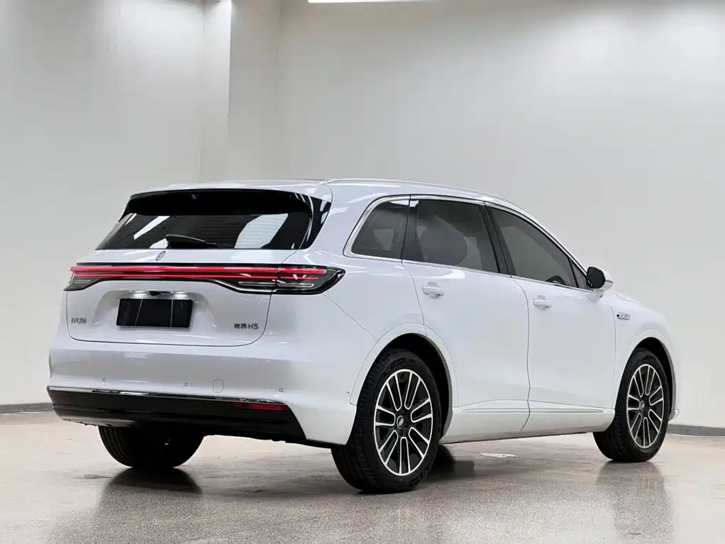 Shangjie Shangjie H5 — миниатюра 11