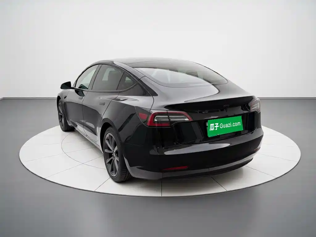 Tesla Model 3 — миниатюра 4