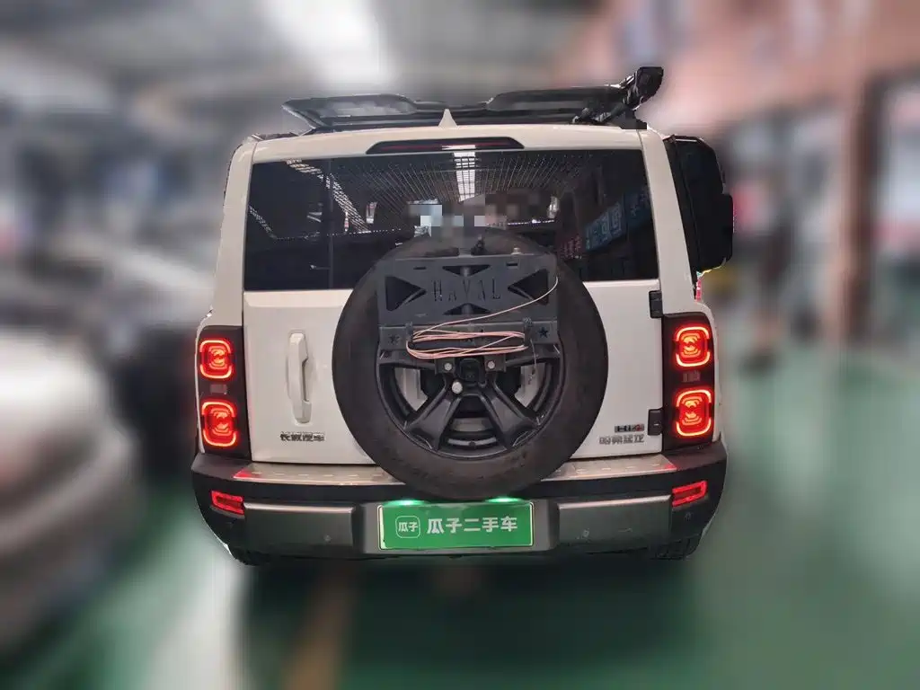 Haval Menglong New Energy — миниатюра 3