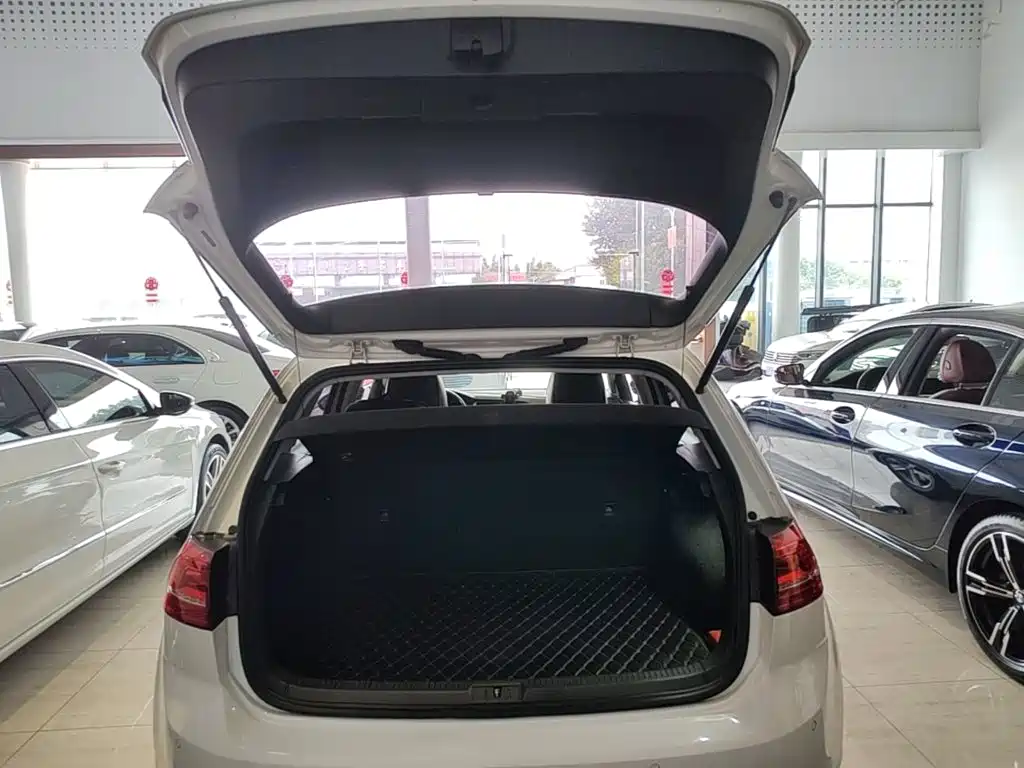 Volkswagen Golf — миниатюра 19