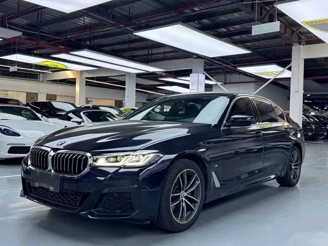 2020 BMW 5er