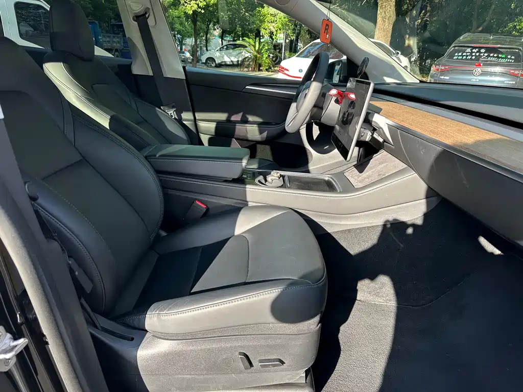 Tesla Model Y — миниатюра 6