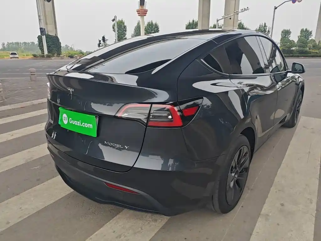 Tesla Model Y — миниатюра 7