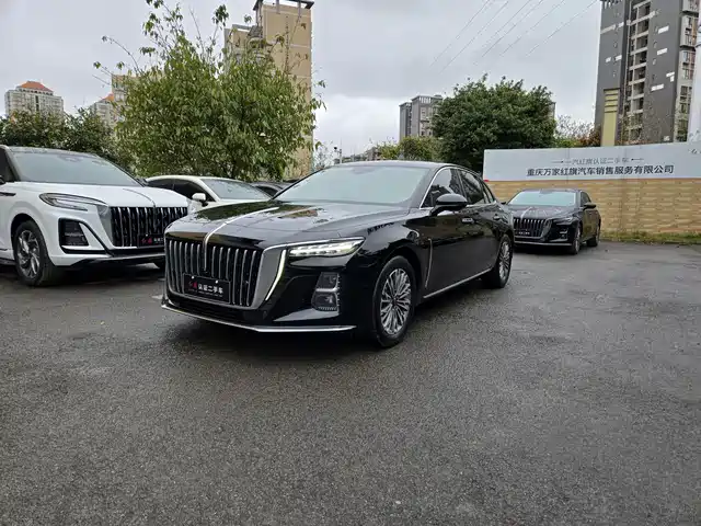 Hongqi HONGQI H5 2024