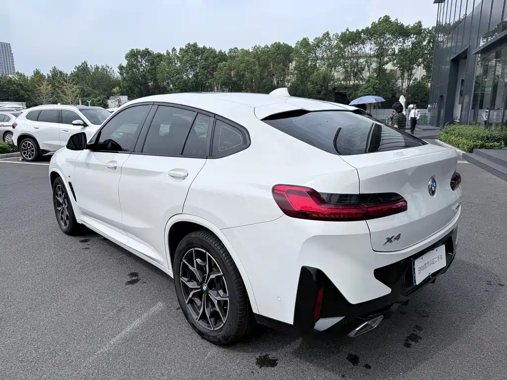 BMW X4 — миниатюра 10