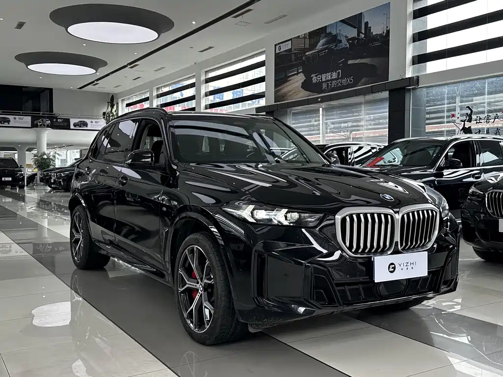 BMW X5 — миниатюра 3