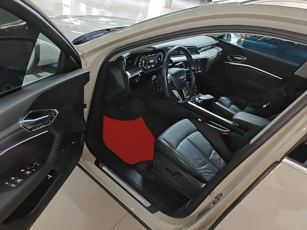 Audi e-tron (Import) — миниатюра 16