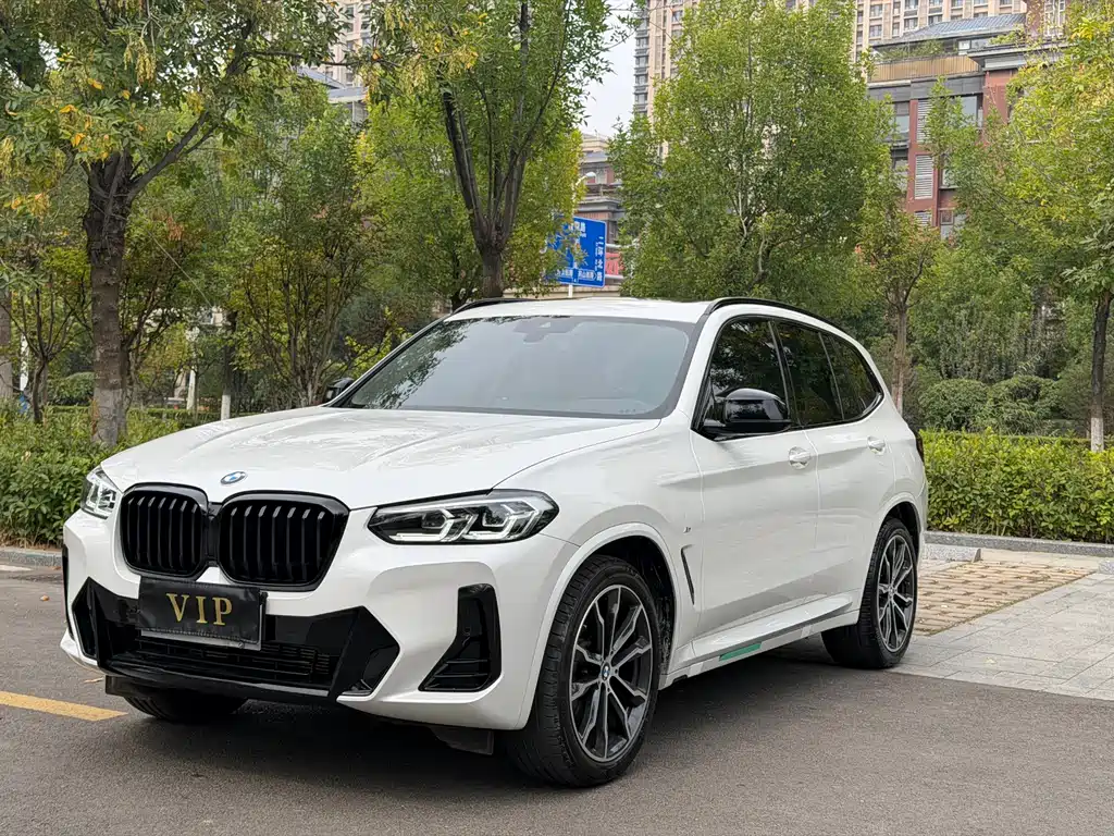 BMW X3 — миниатюра 2